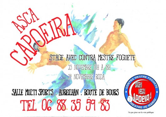 Stage capoeira Tarbes