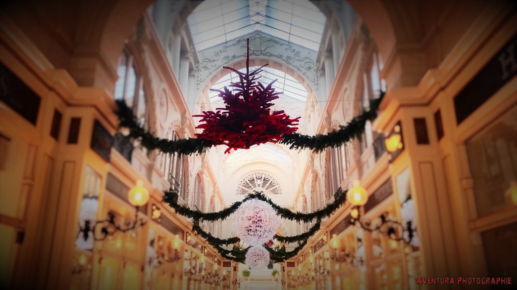 passage pommeraye Noel 2015