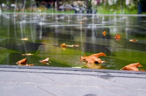 mirroir-d-eau-nantes-automne-feuille