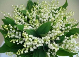 Muguet 1 mai