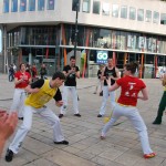 photo capoeira fête musique 2010