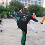 photo capoeira fête musique 2010