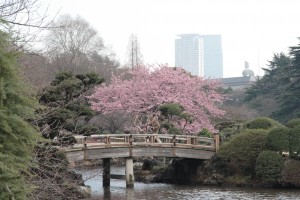 shinjuku gyoenmae